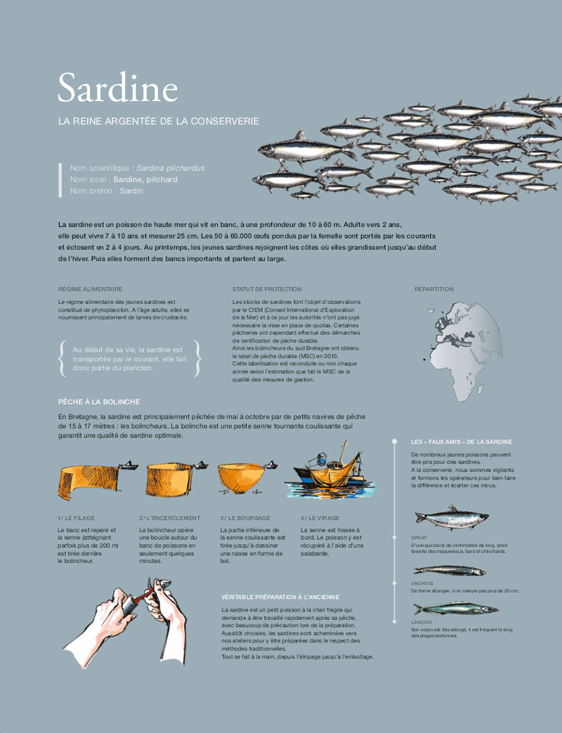 panneau sardines LA COMPAGNIE BRETONNE